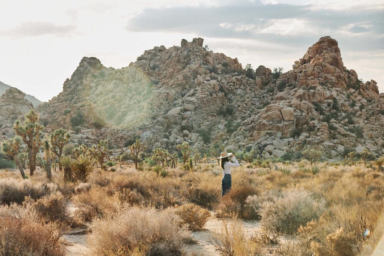 Field Station Joshua Tree Otel Yucca Valley Dış mekan fotoğraf